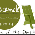 03.22.14-guacamole-color-of-the-day