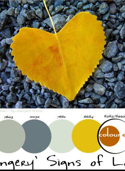 Paint Palettes {‘Gingery’ Signs of Love}