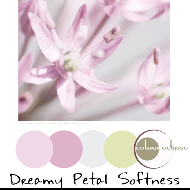 dreamy petal softness color palette