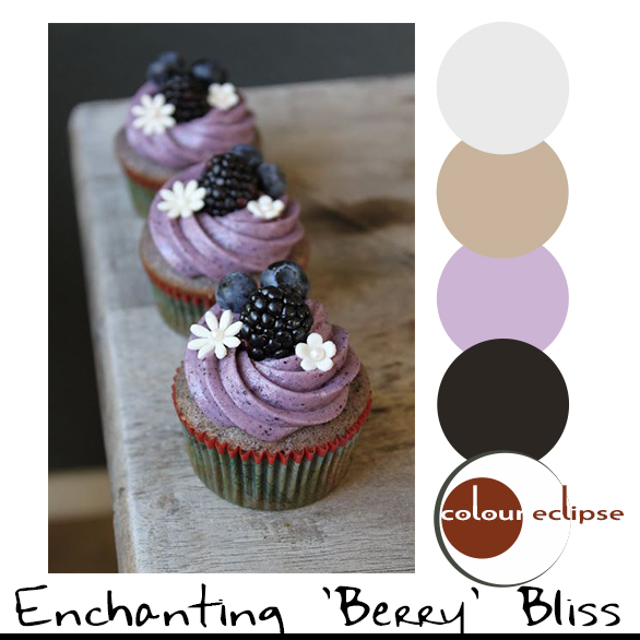 blueberry cupcakes with color palette