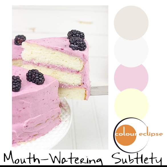 blackberry cake with color palette