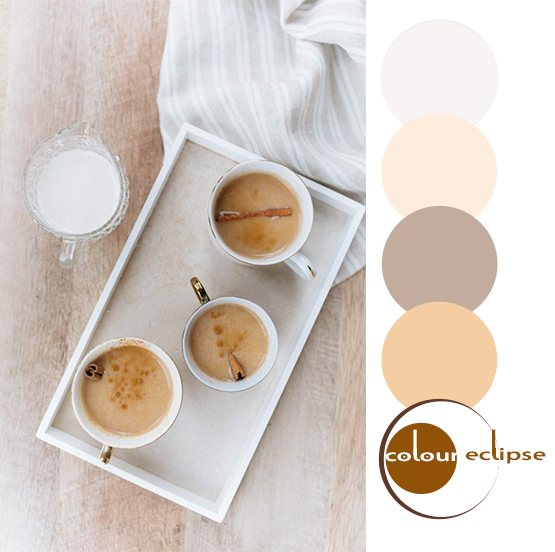 pumpkin chai latte photograph with color palette