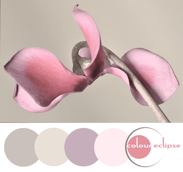 khaki beige and pink color palette