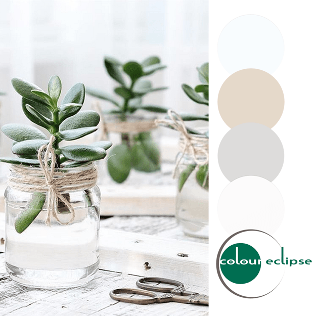 white and emerald green color palette