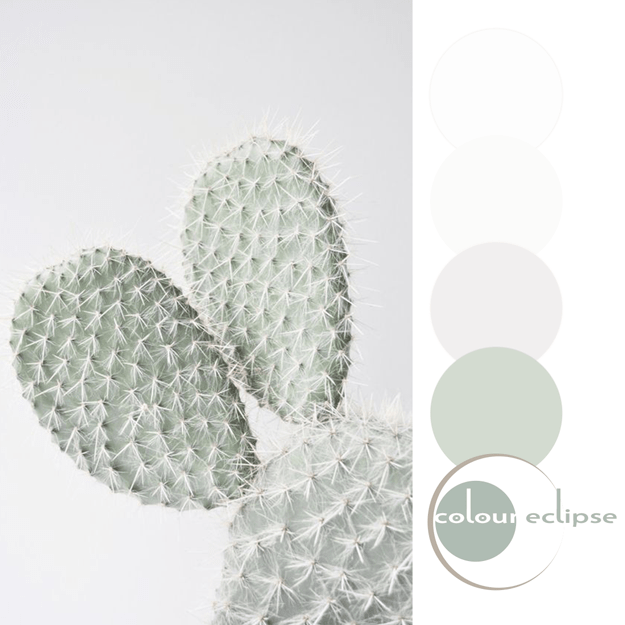 cactus green and pale gray color palette