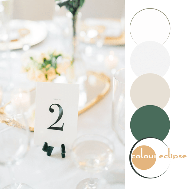 sunkissed moment color palette