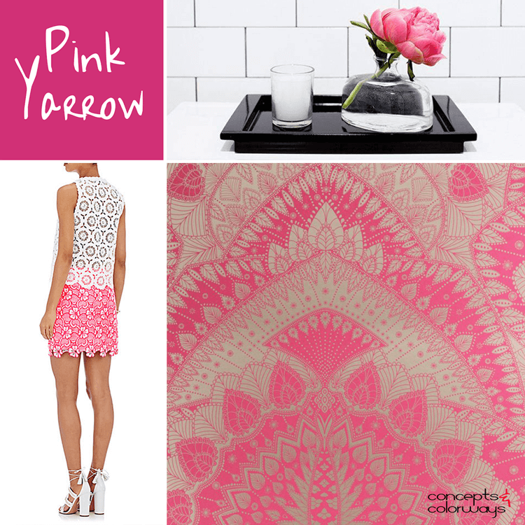 pantone pink yarrow, color for interiors, color trends, color trends 2017, 2017 color trends, bright pink, hot pink, fuschia