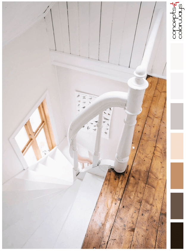 white and caramel color palette