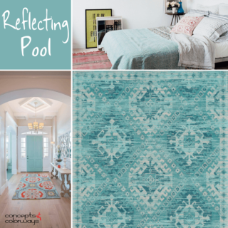 SHERWIN WILLIAMS REFLECTING POOL - Concepts and Colorways