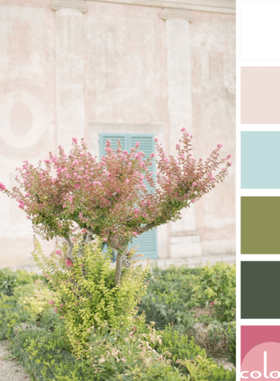 A PINK AND GREEN COLOR PALETTE WITH A TOUCH OF AQUA BLUE