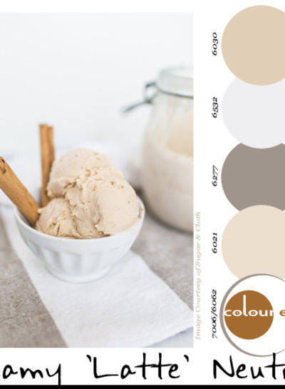 DREAMY LATTE NEUTRALS