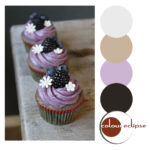 blueberry cupcakes with color palette