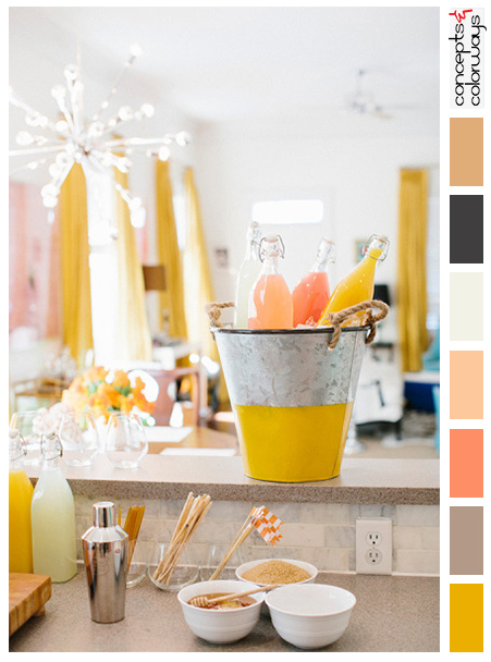 citrus toned party with color palette