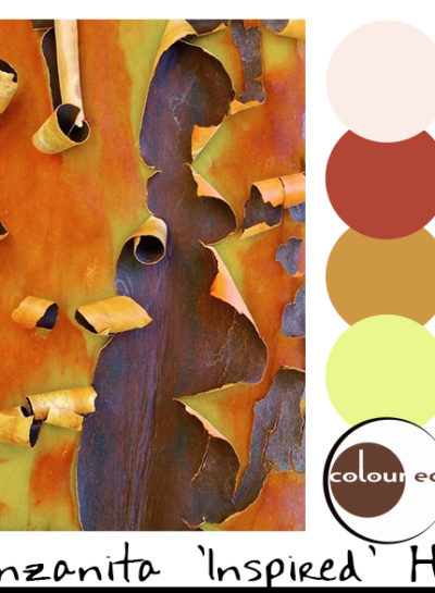 MANZANITA INSPIRED HUES