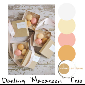 macaroon wedding favor boxes with color palette