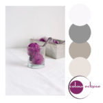 blackberry ice cream with color palette