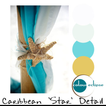 caribbean beach wedding with color palette
