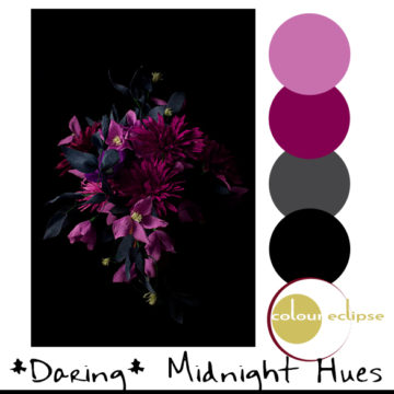black and magenta color palette