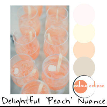 peach drinks against soft gray background