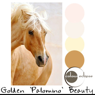 golden brown palomino horse with color palette