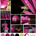 magenta and black mood board