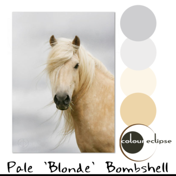 pale blonde horse with color palette