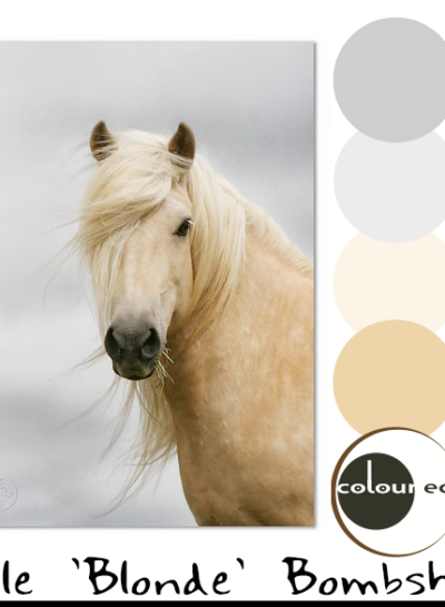 PALE BLONDE BOMBSHELL