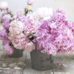 pink roses in rustic metal bucket