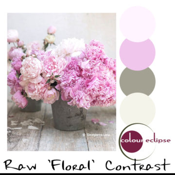 pink roses in galvanized steel bucket