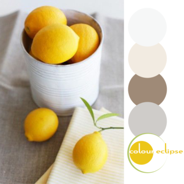 white gray and bright lemon yellow color palette
