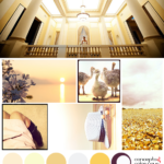 tempting warmth mood board with color palette