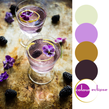 blackberry french 75's with color palette