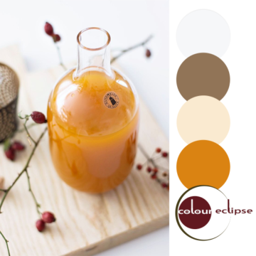 pumpkin spice syrup inspired color palette