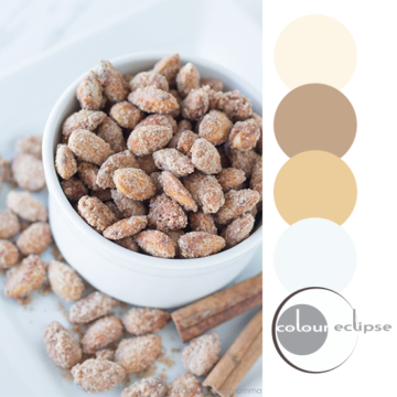 cinnamon sugared almonds inspired color palette