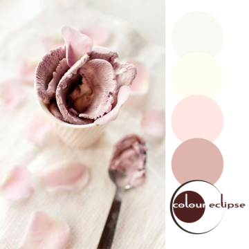 cherry rose ice cream with color palette