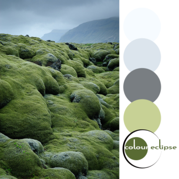 mossy lava fields with color palette