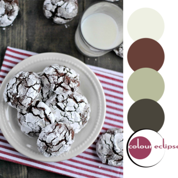 chocolate crinkle cookies with color palette
