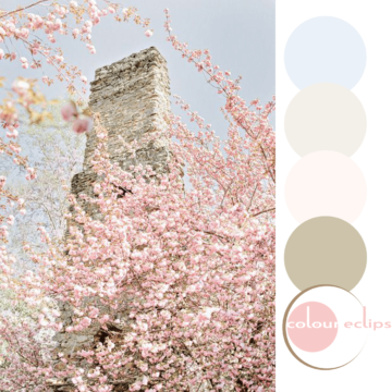 rose quartz and serenity color palette