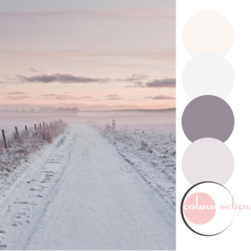 hints of rose color palette