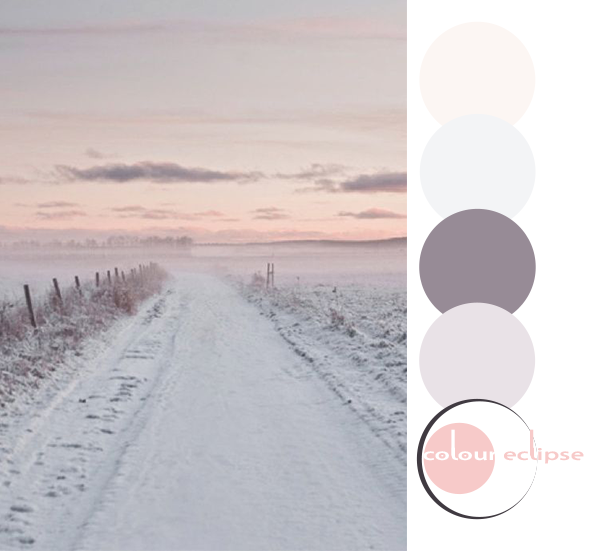 hints of rose color palette