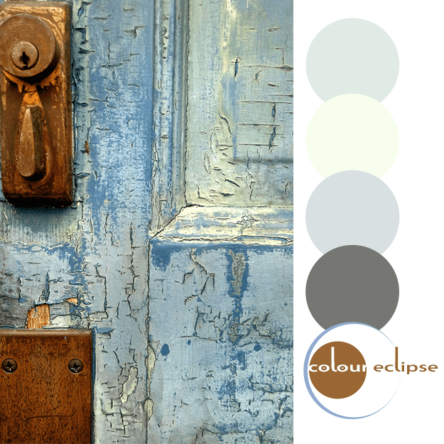 magnolia high entry door with color palette