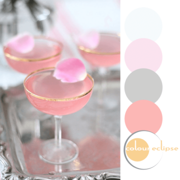 lady rose drinks with color palette