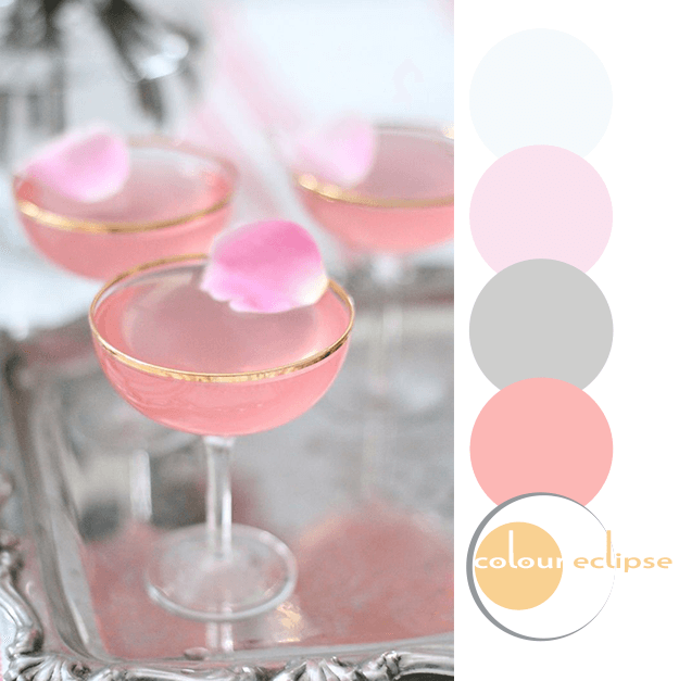 lady rose drinks with color palette