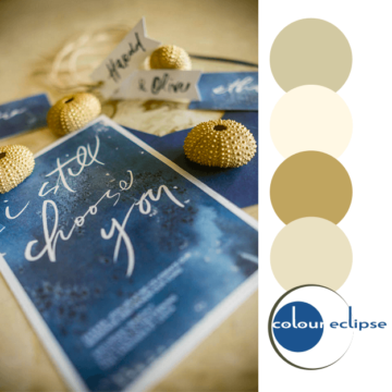 marine blue and tan color palette