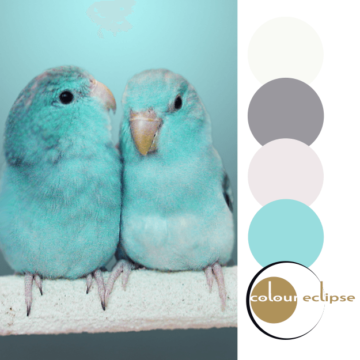mint green parrotlet babies with color palette