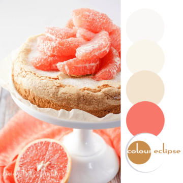 grapefruit olive oil cake with color palette