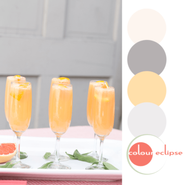 grapefruit mimosas with color palette
