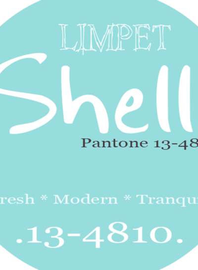 PANTONE LIMPET SHELL