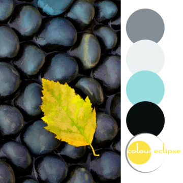 turquoise black yellow gray color palette