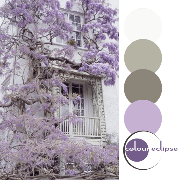 wisteria against white brick wall with color palette